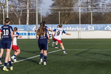 Bild 435 - wBJ Hamburger SV - Hertha BSC : Ergebnis: 2:1